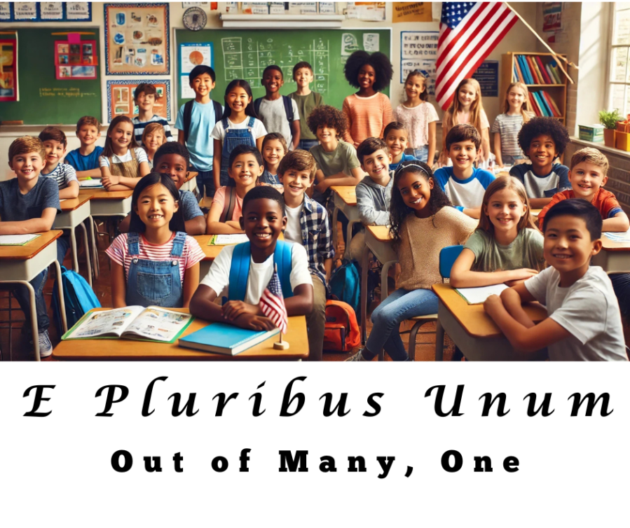 Diversity, Equity, and Inclusion in Our Public Schools